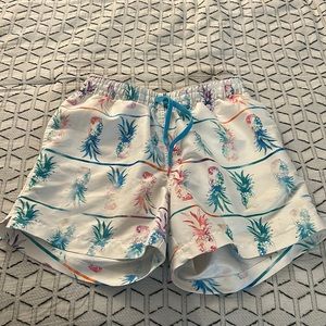 Chubbies Shorts